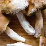 Жареная картошка с белыми грибами