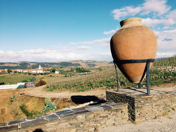  5 вещей, которыми стоит заняться в горах винодельческого региона