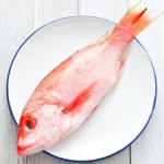 Рыбный день: как выбрать свежую рыбу и три рецепта для дорады, тунца и скумбрии