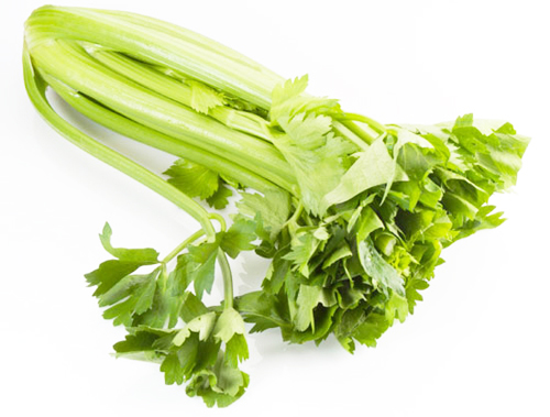 celeryr