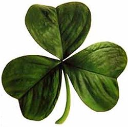 В St. Patrick’s Day - ирландское рагу с бараниной и овощами