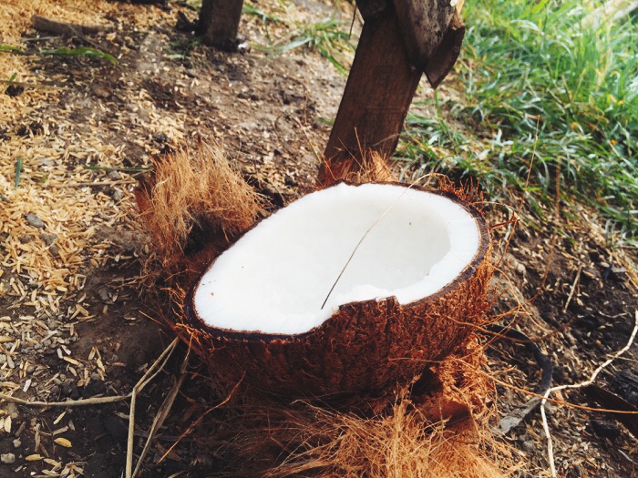За что мы любим кокосовое масло (и как его приготовить самостоятельно)