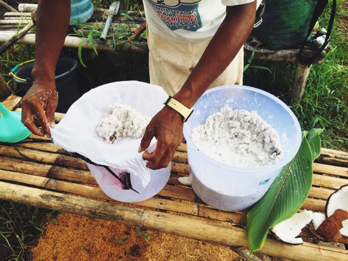 За что мы любим кокосовое масло (и как его приготовить самостоятельно)